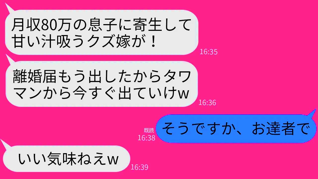 【LINE】私の月収80万の給与明細を夫のと勘違いして勝手に離婚届を提出した姑「寄生虫はタワマンから出てけw」→離婚後にアフォ義母が真実を知った時の反応