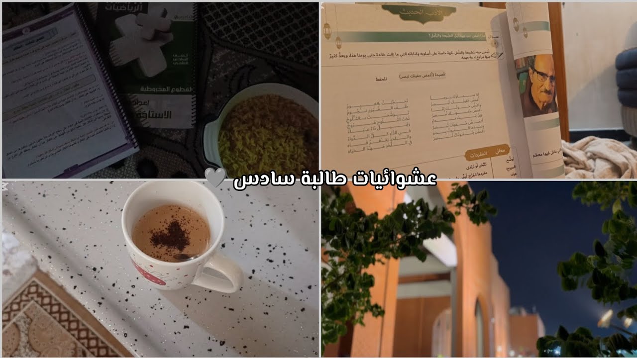 عشوائيات في حياة طالبة سادس 🩶 / دفعة 26
