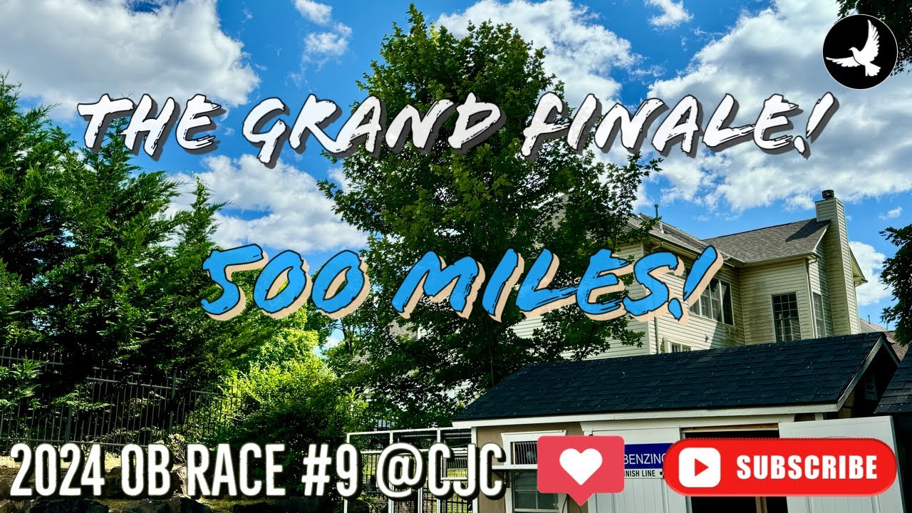 2024.13 - CJC Old Bird Race #9 500 miles