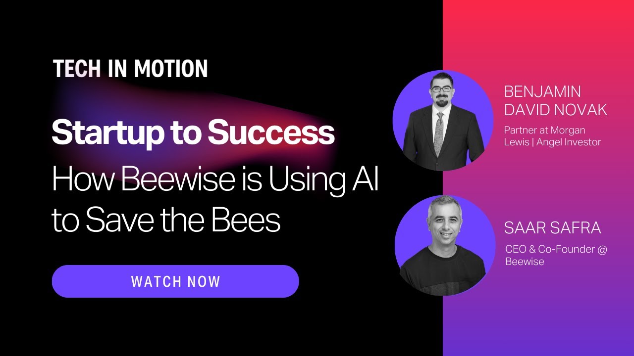 Startup to Success: How Beewise is Using AI to Save the Bees