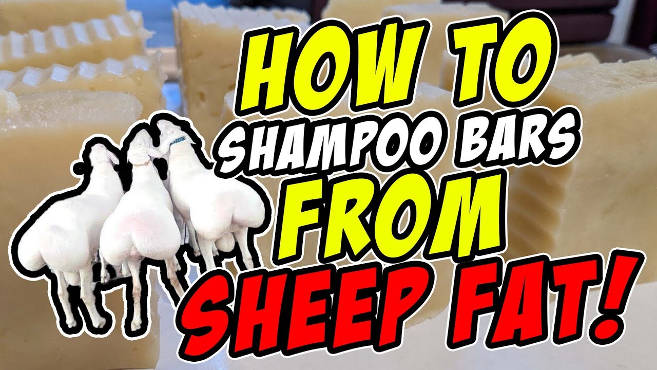 How to Render Sheep Tallow and Make Soap or Shampoo Bars