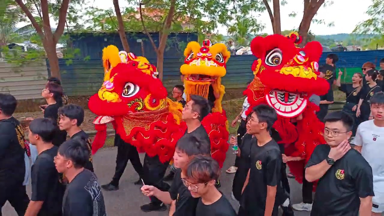 Lion & Led Dragon Dance