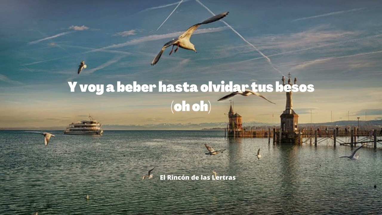 VUELA GAVIOTA_LA AMENAZA DE PUNTA ARENA_LUISTER LAS VOZ x KEYVIN C_LETRA