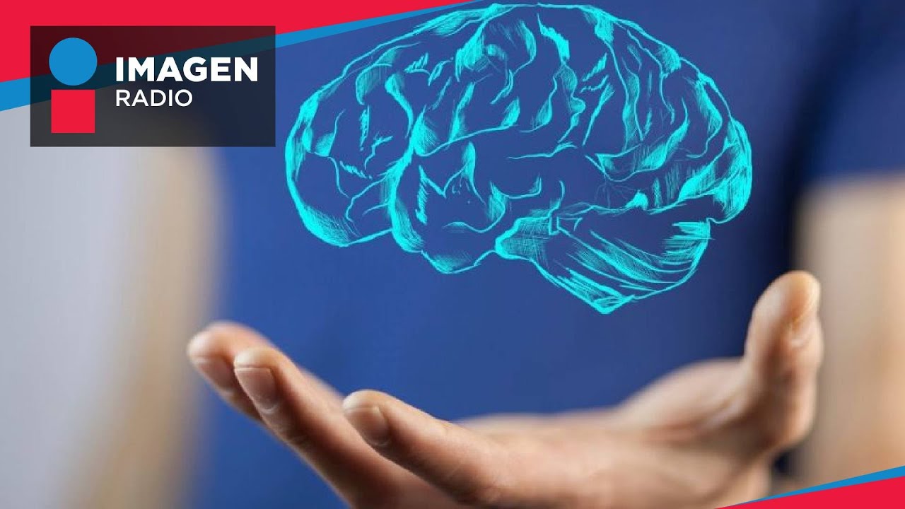 ¿Cuáles son las 5 leyes biológicas?