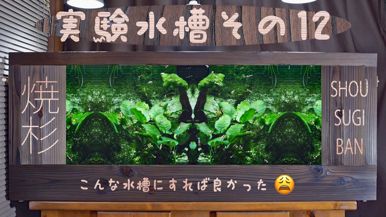 実験水槽その１２　焼き杉の水槽カバーを作ってみた - Aquarium Yakisugi Shou Sugi Ban DIY 【アクアリウム】