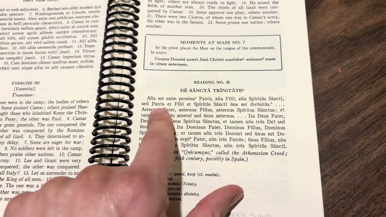 Latin Henle year one reading number 28 ￼