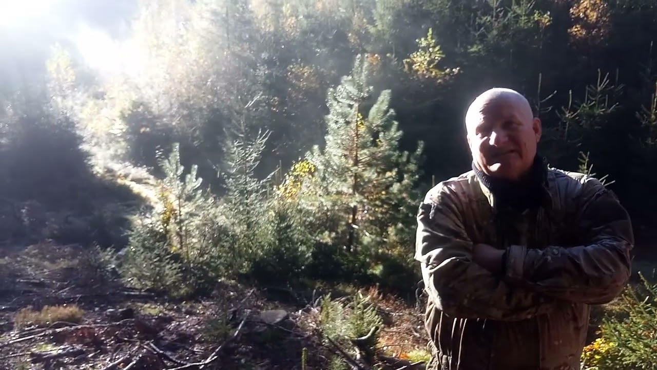 Riese ostry cień mgły - Dariusz Kwiecień - 11 - 2025