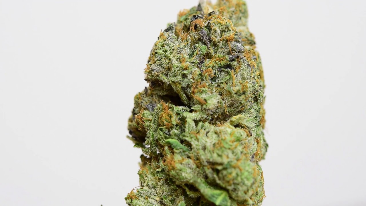 Craft Cannabis Blue Magoo Cookie Strain