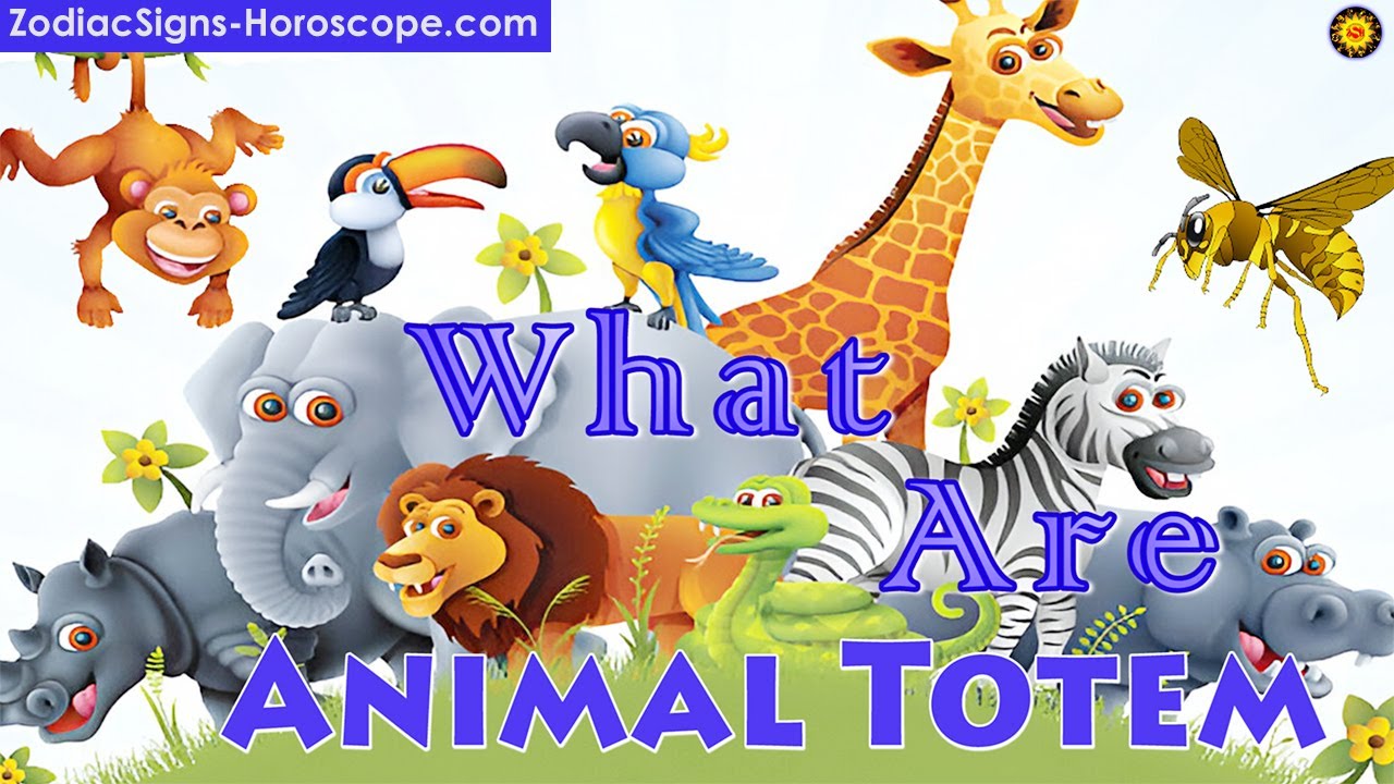 What Are Animal Totems? Animal Totems or Spirit Animal Meaning #animaltotem