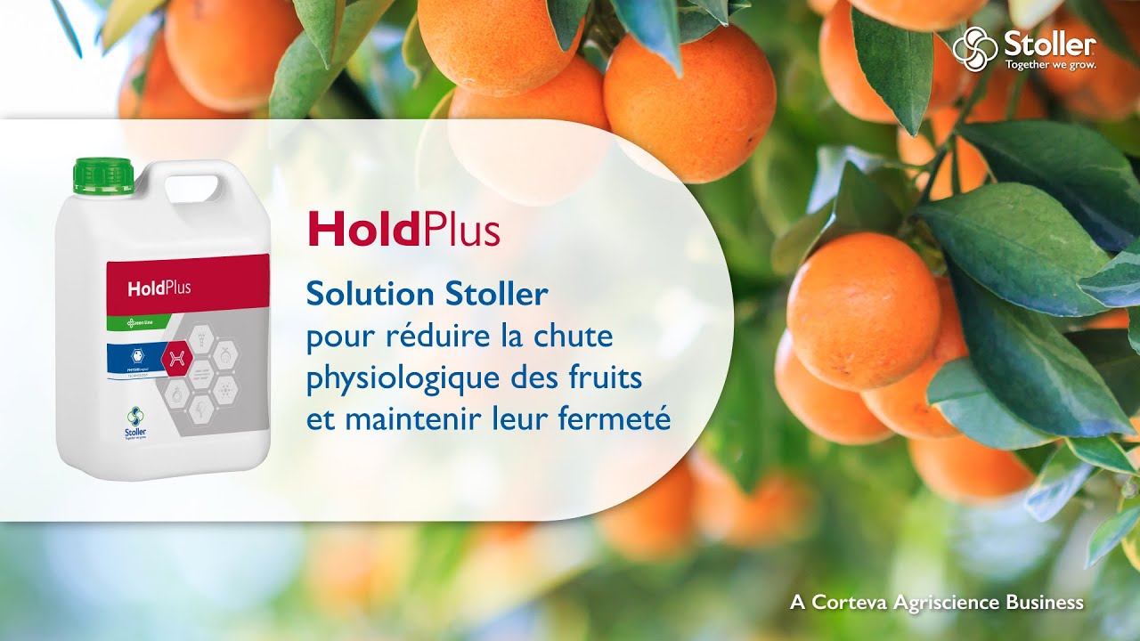 HoldPlus | Réduit les pertes causées par la chute physiologique des fruits