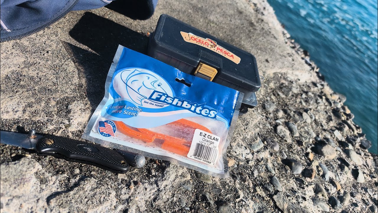 TESTEAMOS LA CARNADA ARTIFICIAL FISHBITES ALMEJA NARANJA @fishbites