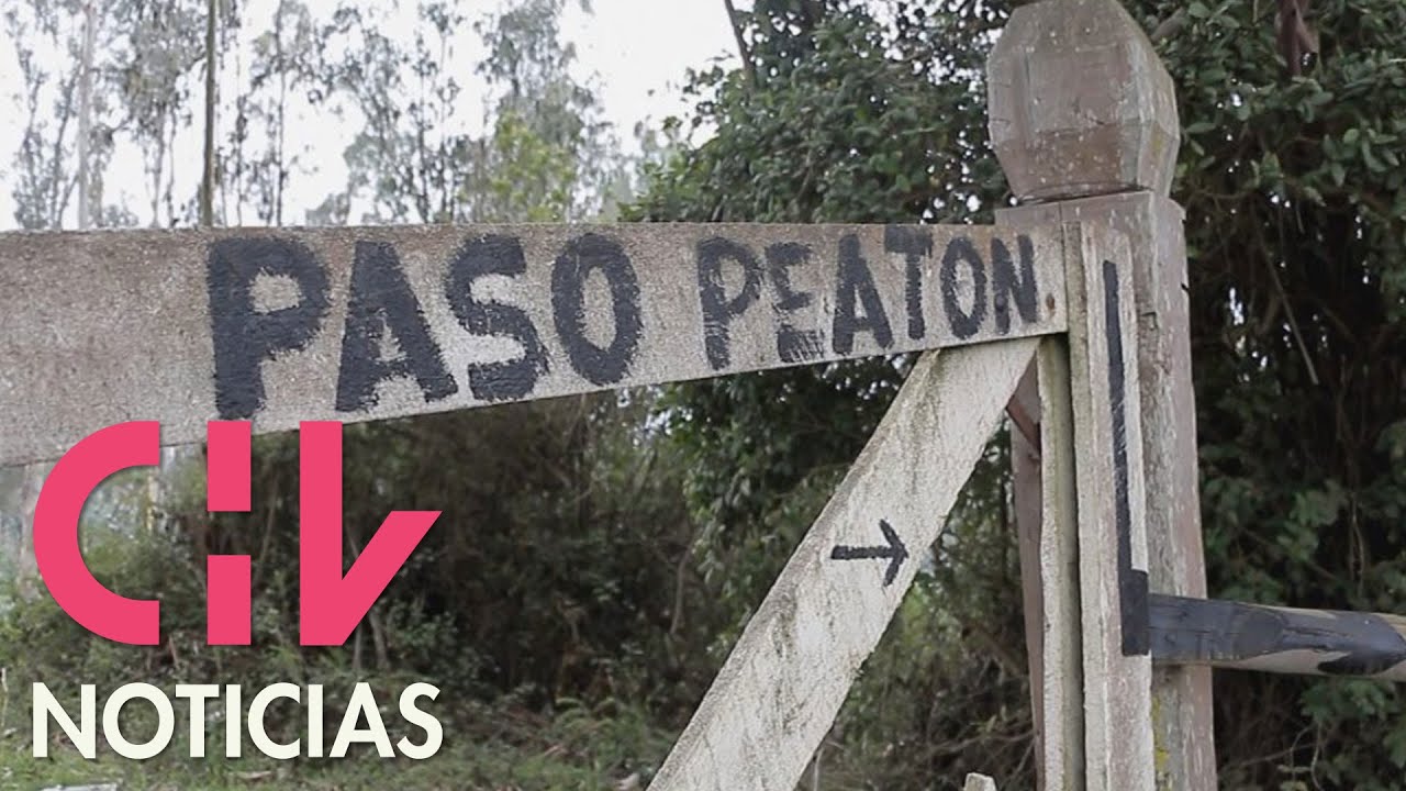 A seis meses de la apertura: Fundo Mónaco mantiene habilitado el acceso a la playa solo a pie