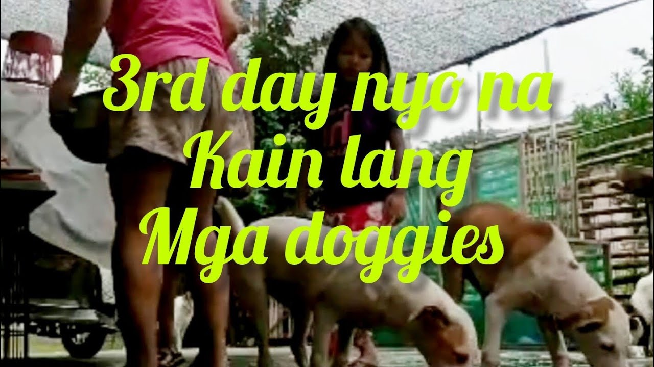 3rd day nyo na Kain lang Mga doggies @Pinoykatvofficial 