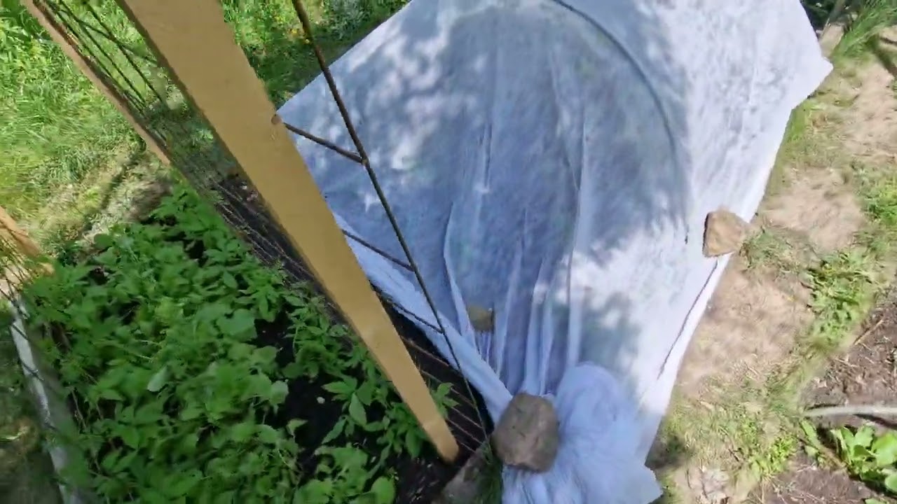 Konstrukce pro okurky, Ačokču a další zeleninu pěstovanou na opoře