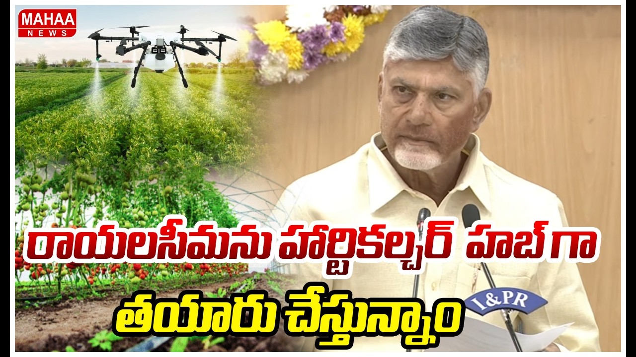 రాయలసీమను హార్టికల్చర్  హబ్ గా  తయారు చేస్తున్నాం | CM Chandrababu | Mahaa News