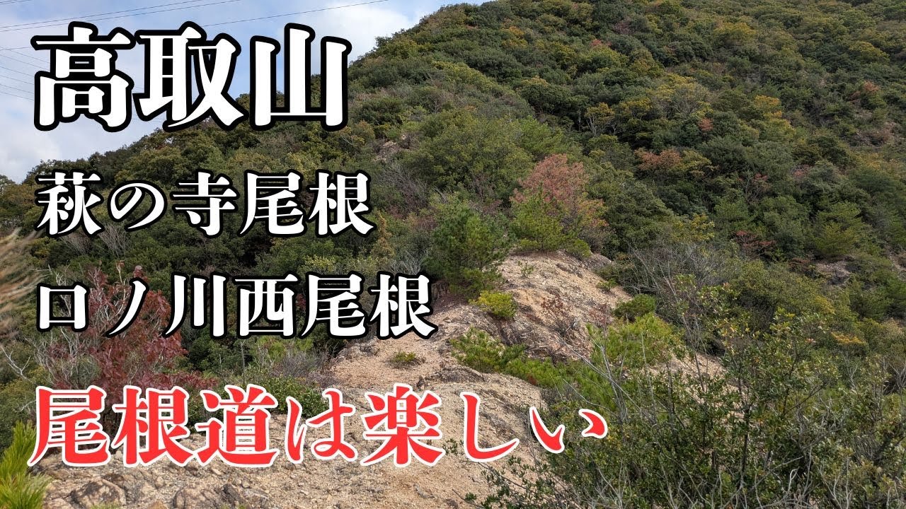 高取山　萩の寺尾根　口ノ川西尾根　六甲　2025年11月03日
