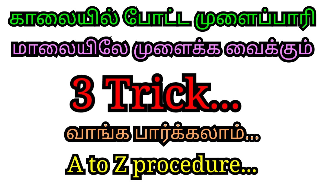 முளைப்பாரி போடுவது எப்படி