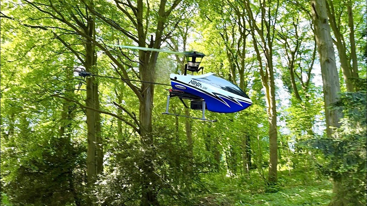 Twister Ninja 250 flying in the woods