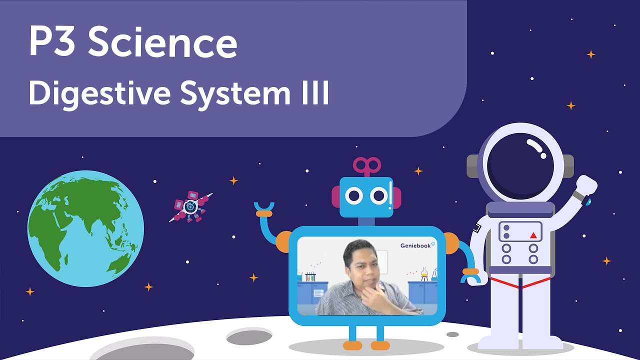Digestive System 3 | P3 Science | Learn PSLE Primary 3 Science with Geniebook