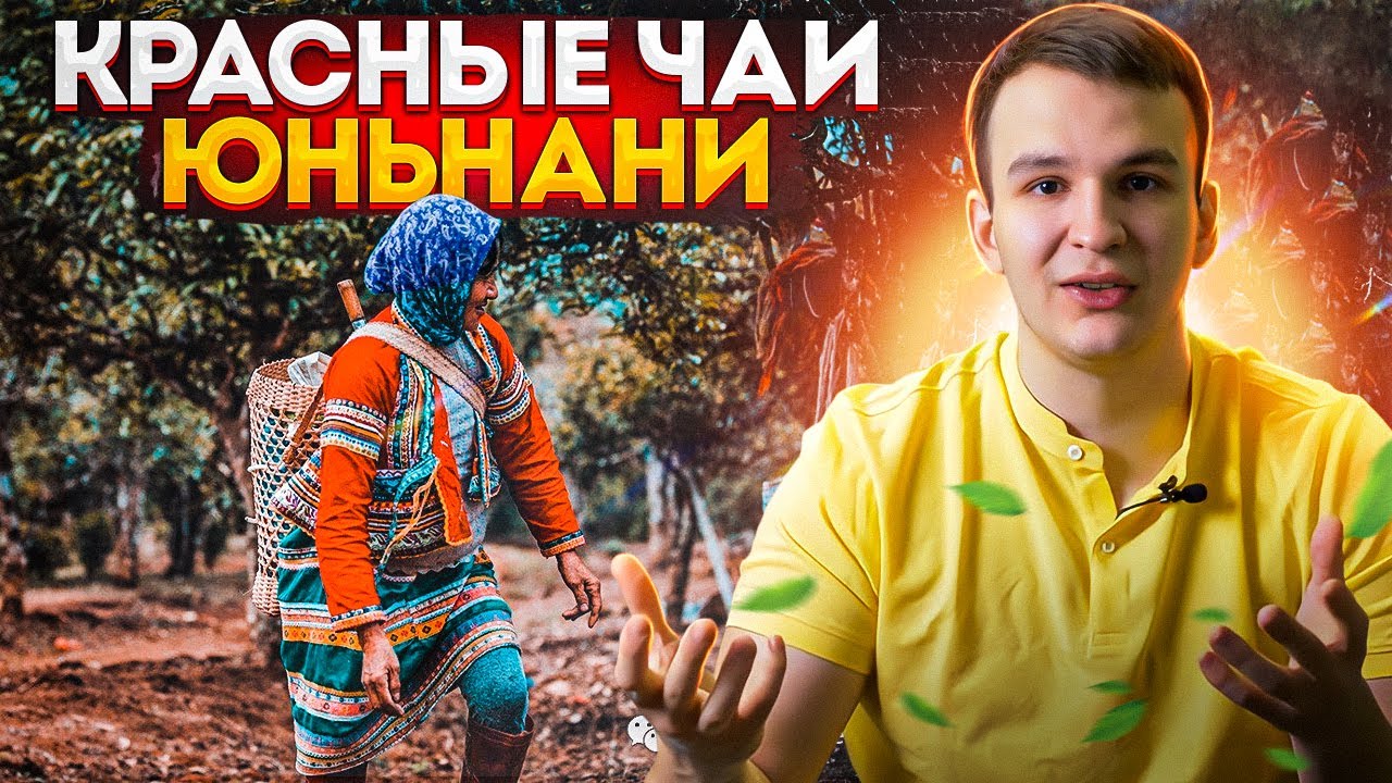 Красные китайские чаи провинции Юньнань | Дянь Хун и Шай Хун в чем отличие | производство