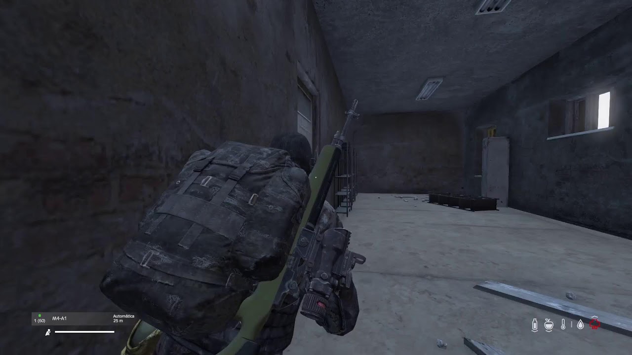 Dayz/PS5