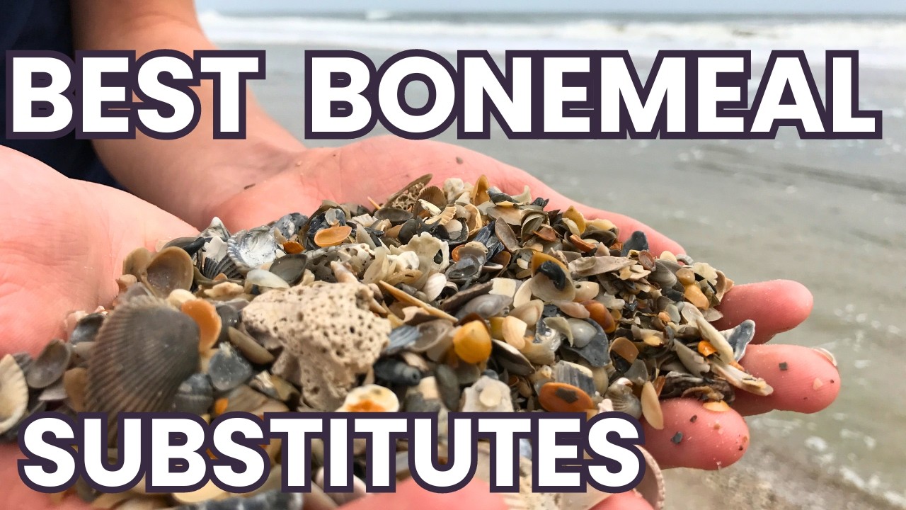 Boost Plant Health with Free Bonemeal  substitutes