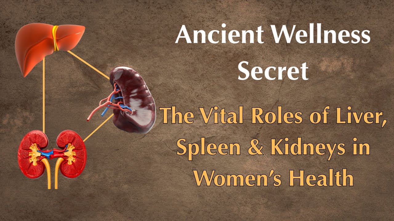 Ancient Wellness Secrets: The Vital Roles of Liver, Spleen & Kidneys in Women&rsquo;s Health