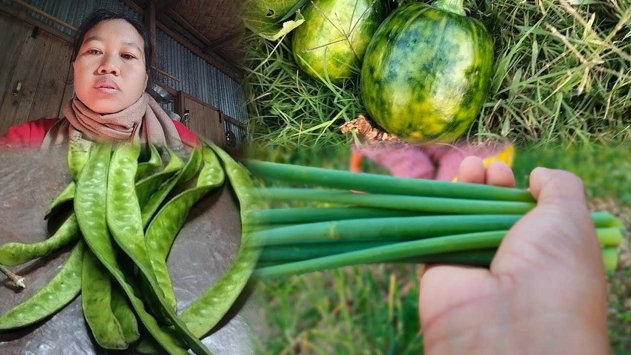 Cleaning stinky beans