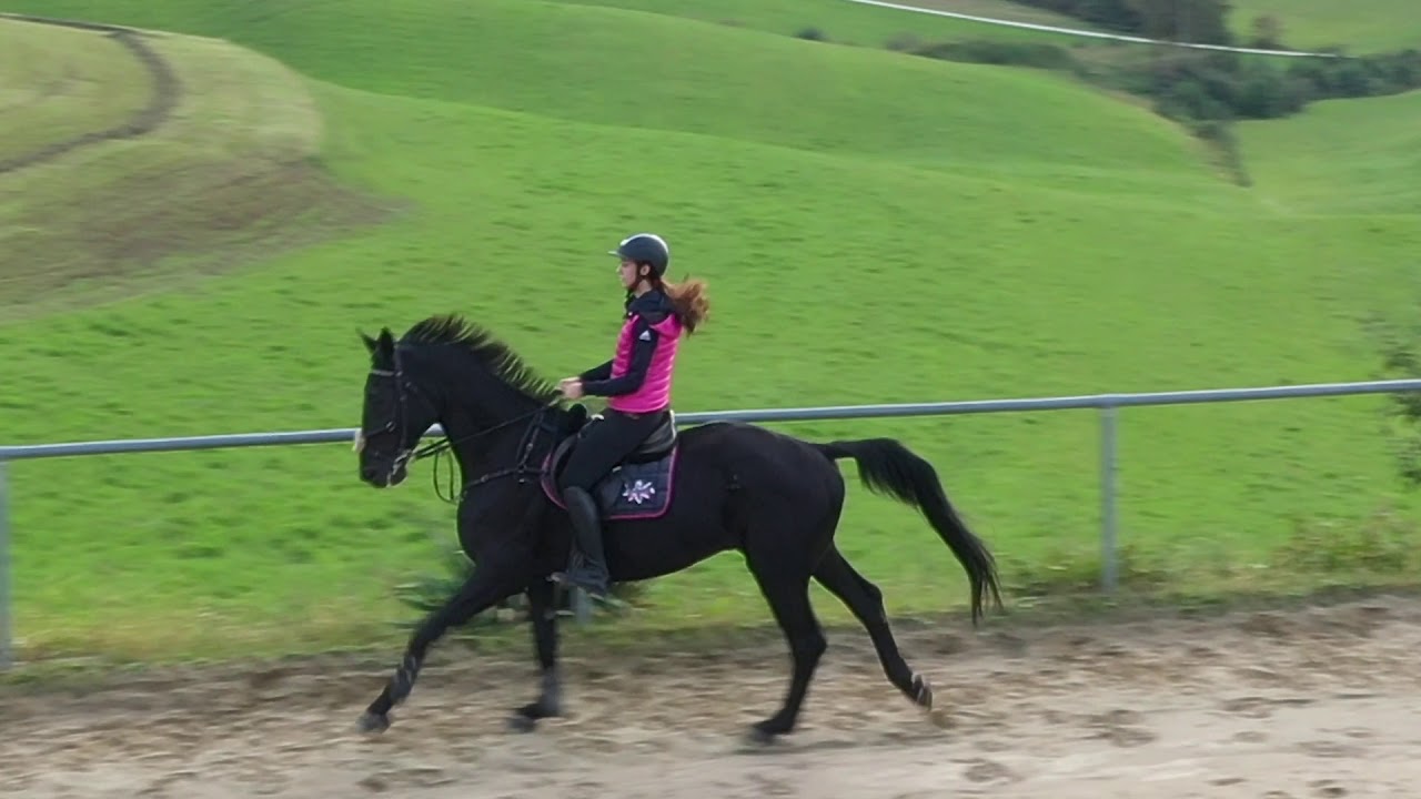 Lana & Dino jahanje in preskakovanje ovir