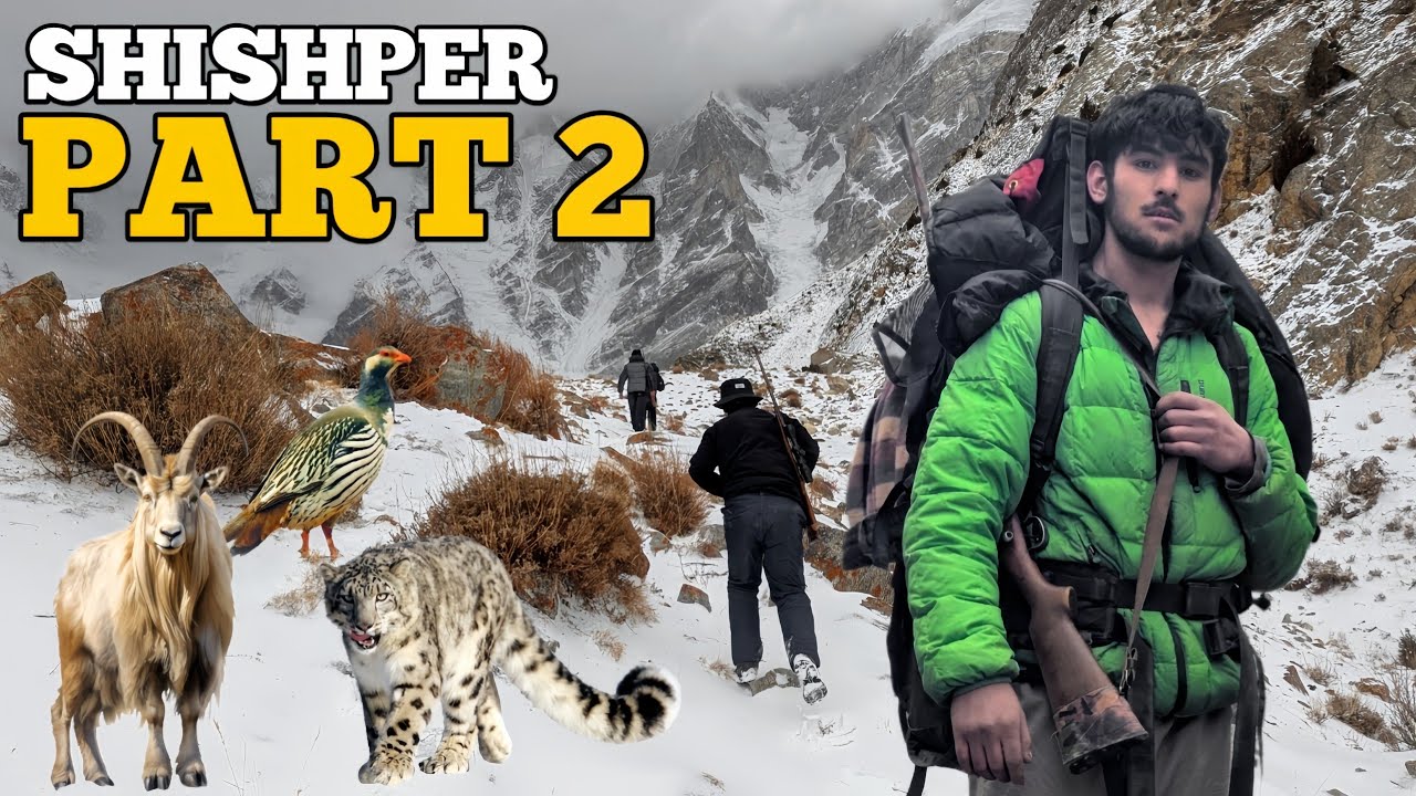 SHISHPER MEADOW GILGIT BALTISTAN PART 2 FOUND ANIMALS 😱
