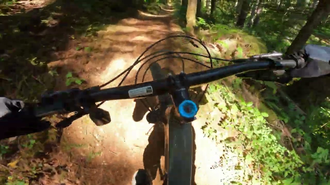 2024/08/31 - Capitol Forest: Greenline 6