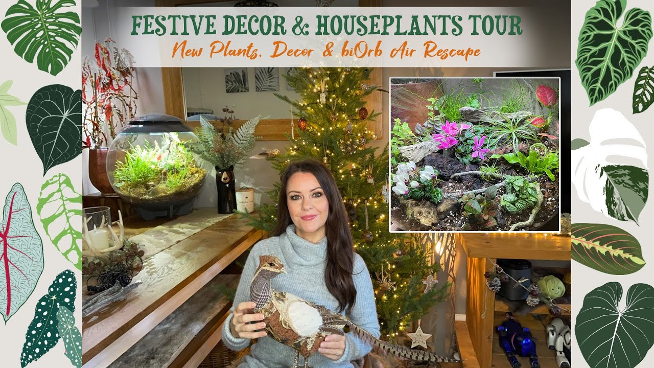 Festive Decor & Houseplant Tour! New Decor, Plants & biOrb Air Re-Scape ⭐️🎄❄️🕯✨🌿