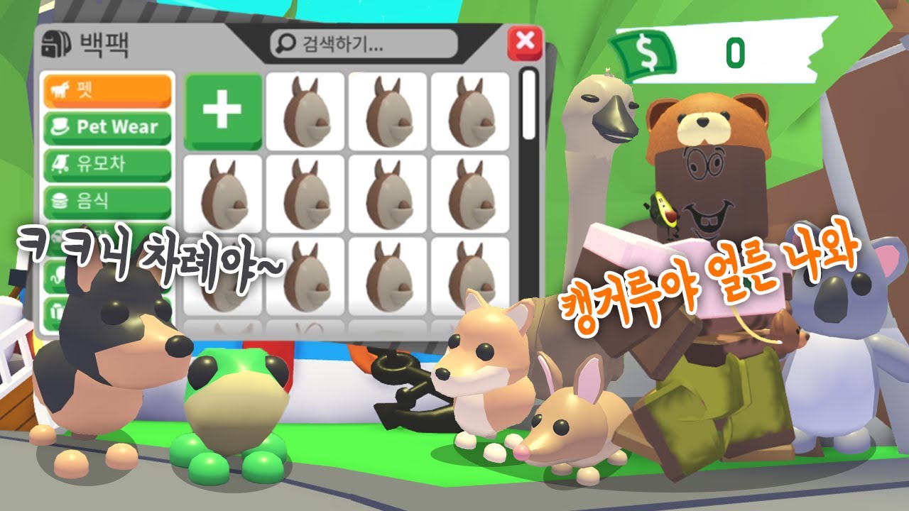 [로블록스]*전재산올인* 호주 알 뽑기! 3%의 확률 캥거루가 저한테 와 줄까요?! 입양하세요 호주에그까기! 알까기!