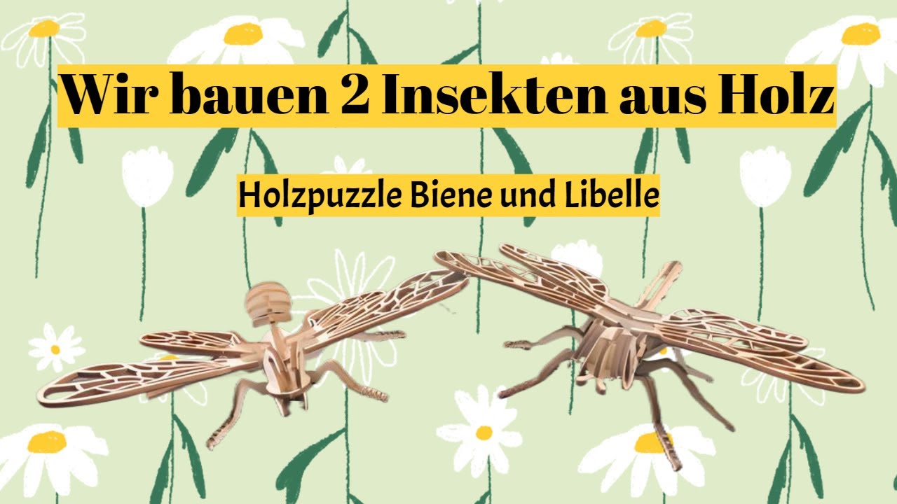 Taugt das was? Holzinsekten - 3D Holzpuzzle Biene und Libelle