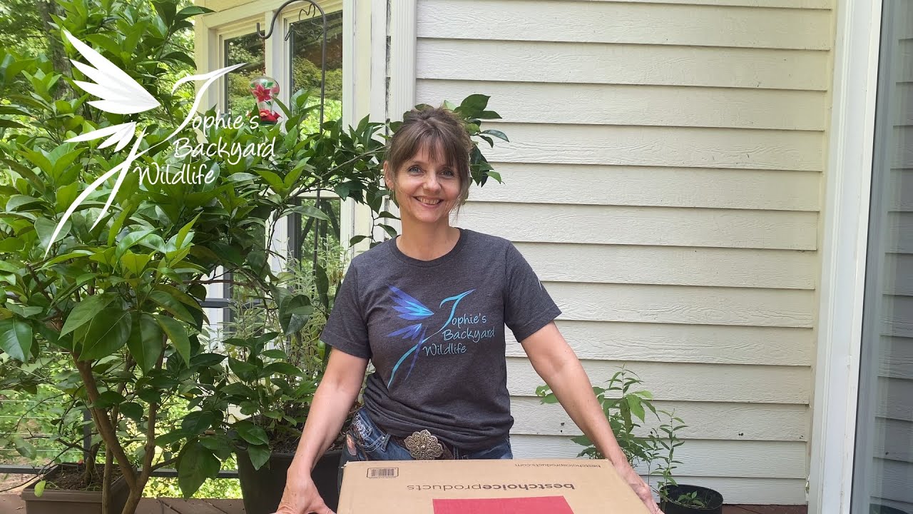 Unboxing bird bath and solar water fountain plus review. Should you get one?