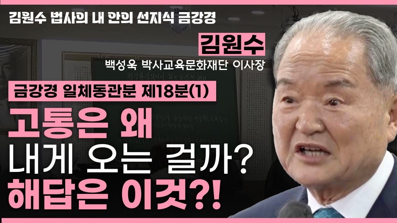 고통은 이기심에서 시작된다… 금강경이 말하는 해결법🙏ㅣ 고통을 지혜와 자비로!ㅣ금강경 일체동관분 제18분(1)[김원수 법사의 내안의 선지식 금강경 328회]