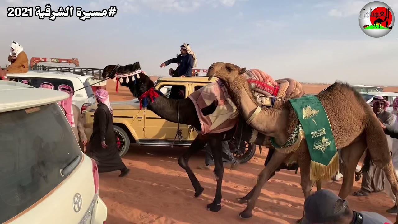 عبدالله بن محمد ال الشيخ الودعاني