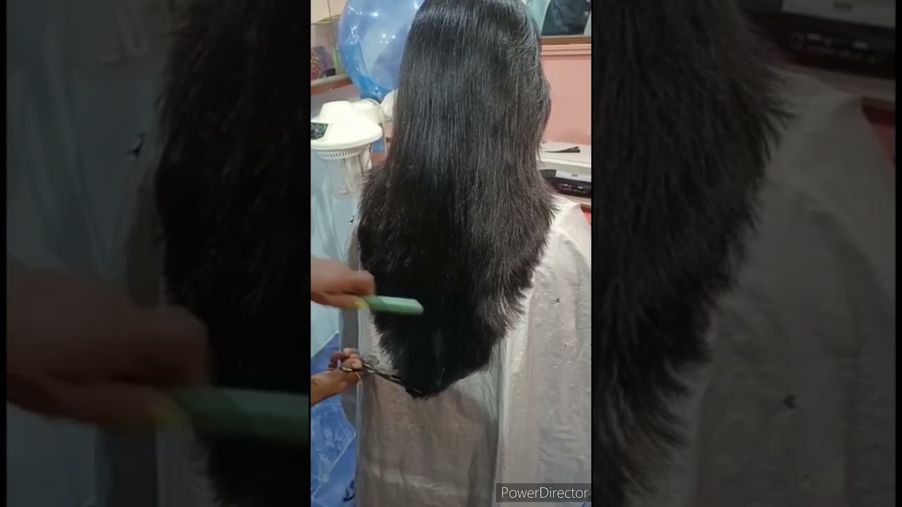 Quick Layar Cut For Long Hair-1 #shorts
