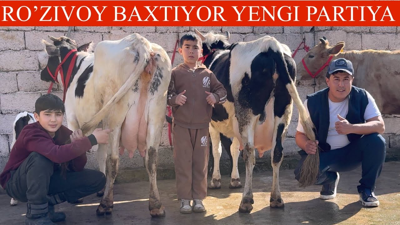 ROʻZIVOY😳F💥YAGI P ONA BOLA SGIRLAR✊🥛🚘DASTAFKASI BOR NARXLAR ANCHA ARZON🤝🏃