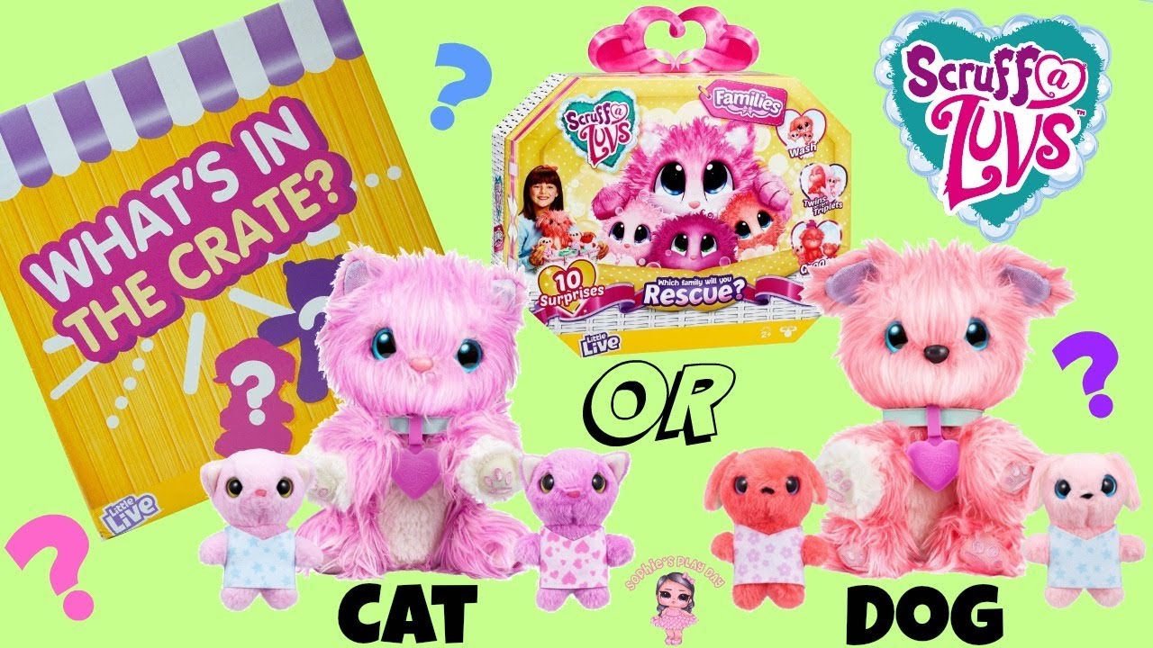 Scruff A Luvs Families Little Live Unboxing from Moose Toys, Will We Get Twins Or Triplets Babies?