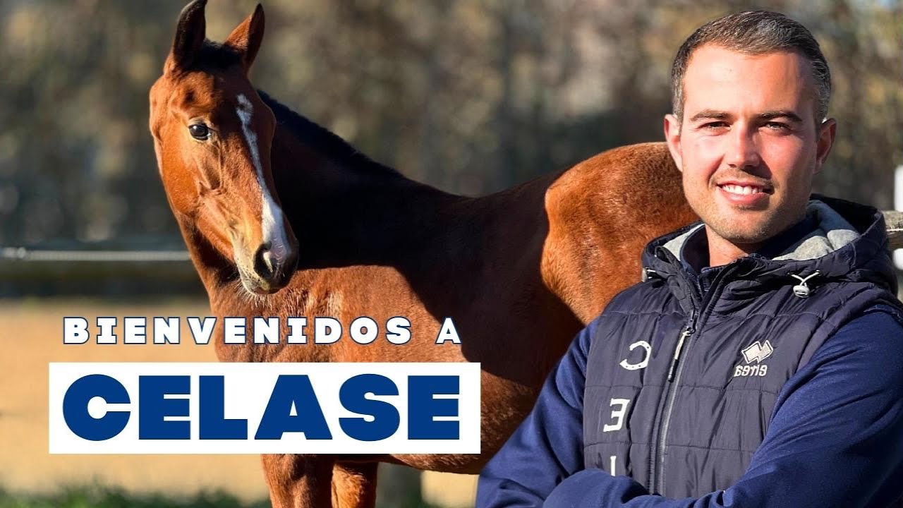 Descubre CELASE: Tu escuela de equitación en Girona