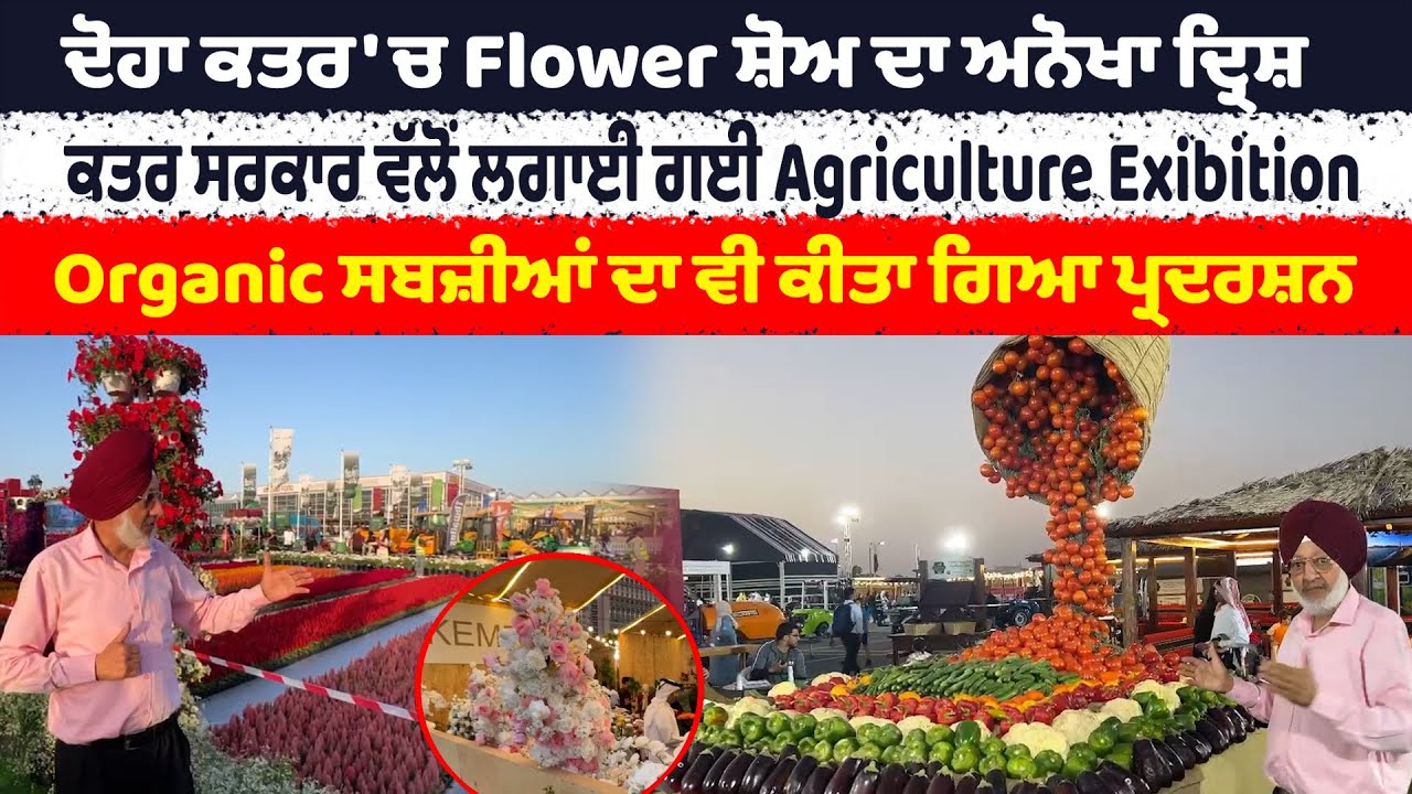 ਦੋਹਾ ਕਤਰ 'ਚ Flower ਸ਼ੋਅ ਦਾ ਅਨੋਖਾ ਦ੍ਰਿਸ਼ ਕਤਰ ਸਰਕਾਰ ਵੱਲੋਂ ਲਗਾਈ ਗਈ