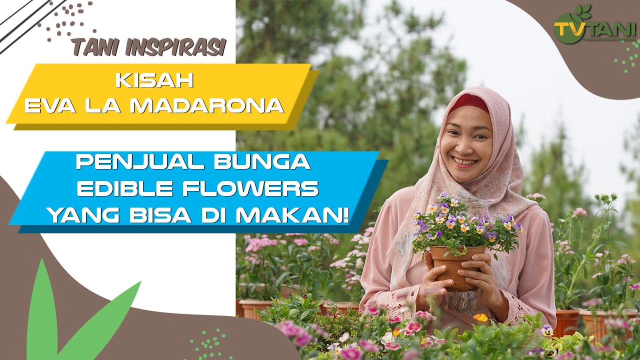 Harumnya Bisnis Edible Flower, Si Bunga Cantik Yang Bisa Dimakan