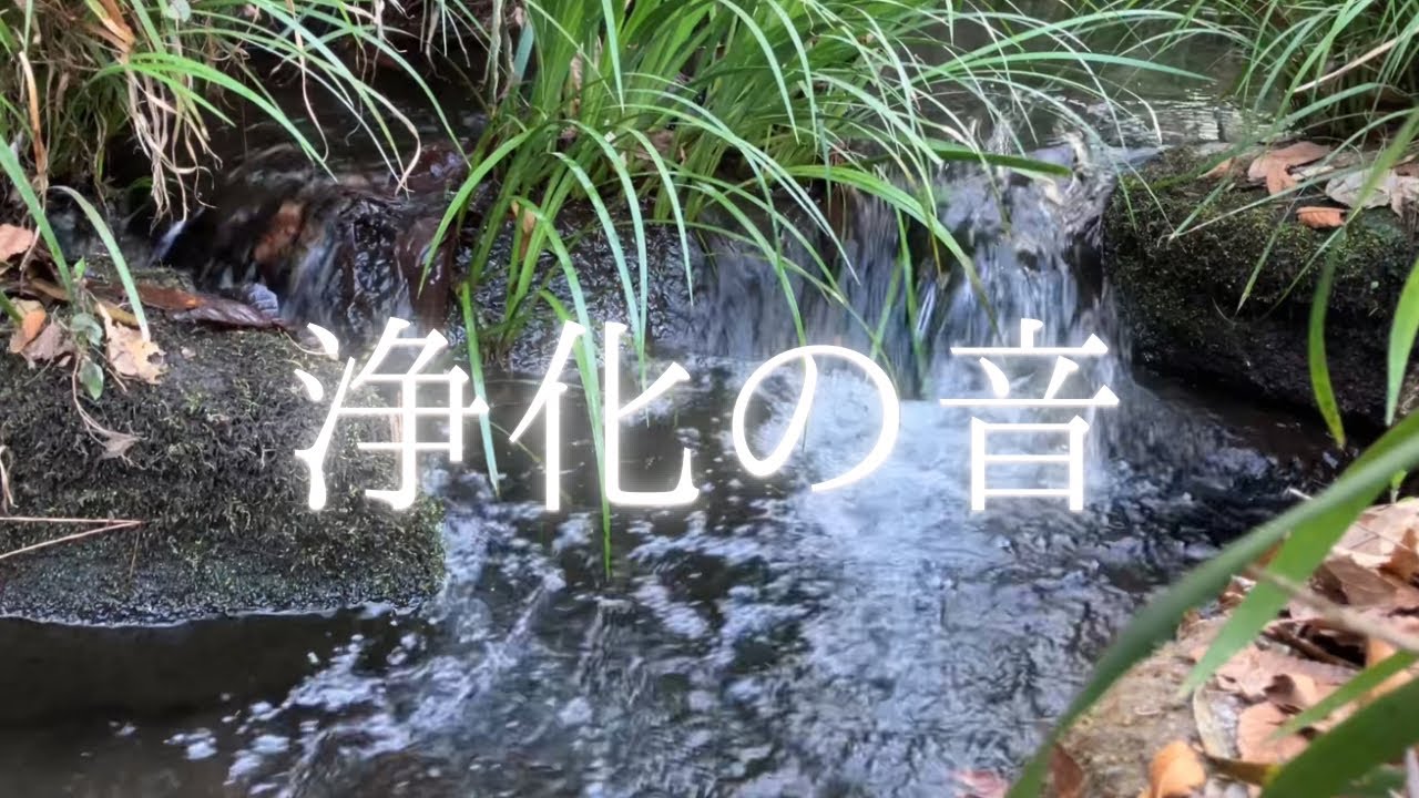 浄化の音