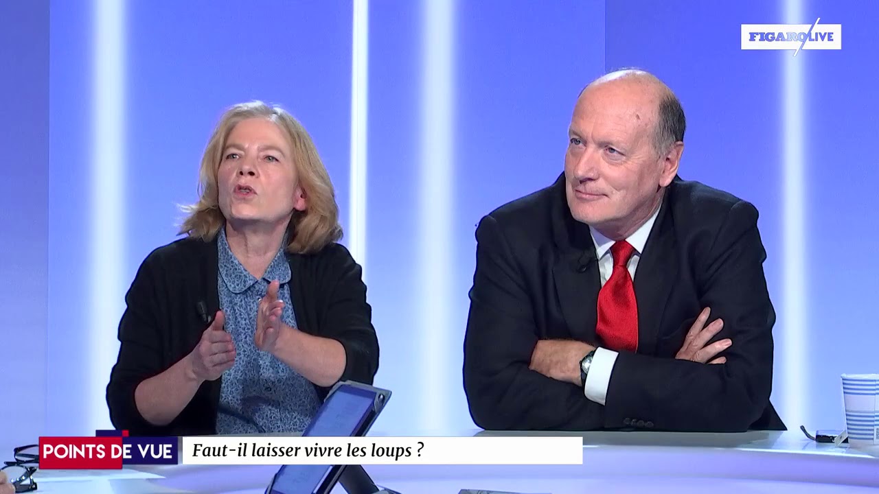 Points de Vue : faut-il interdire les loups?