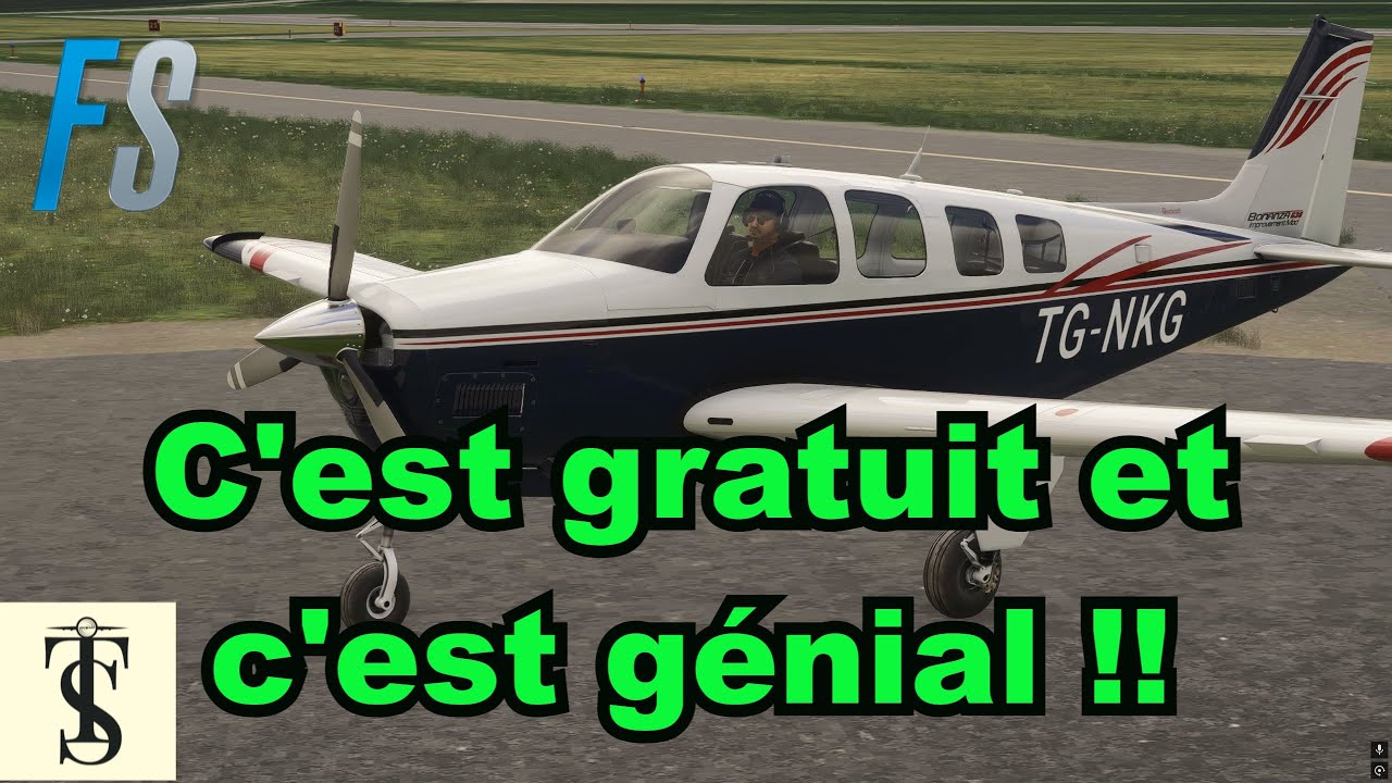 FS2024 / Bonanza G36 Improvement Project / Tuto