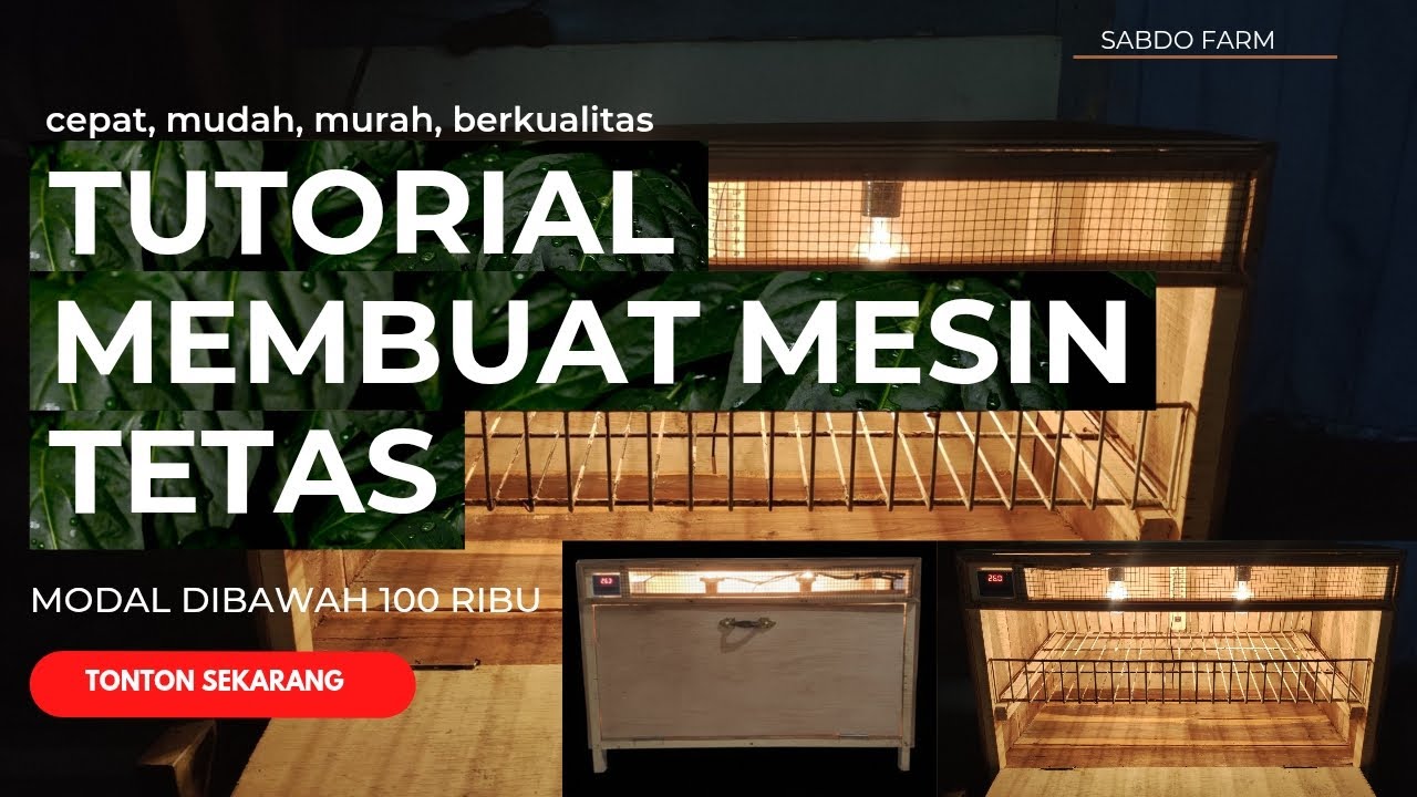 TUTORIAL MEMBUAT MESIN TETAS SEDERHANA #peternakan #mesintetasmanual #mesintetastelur 