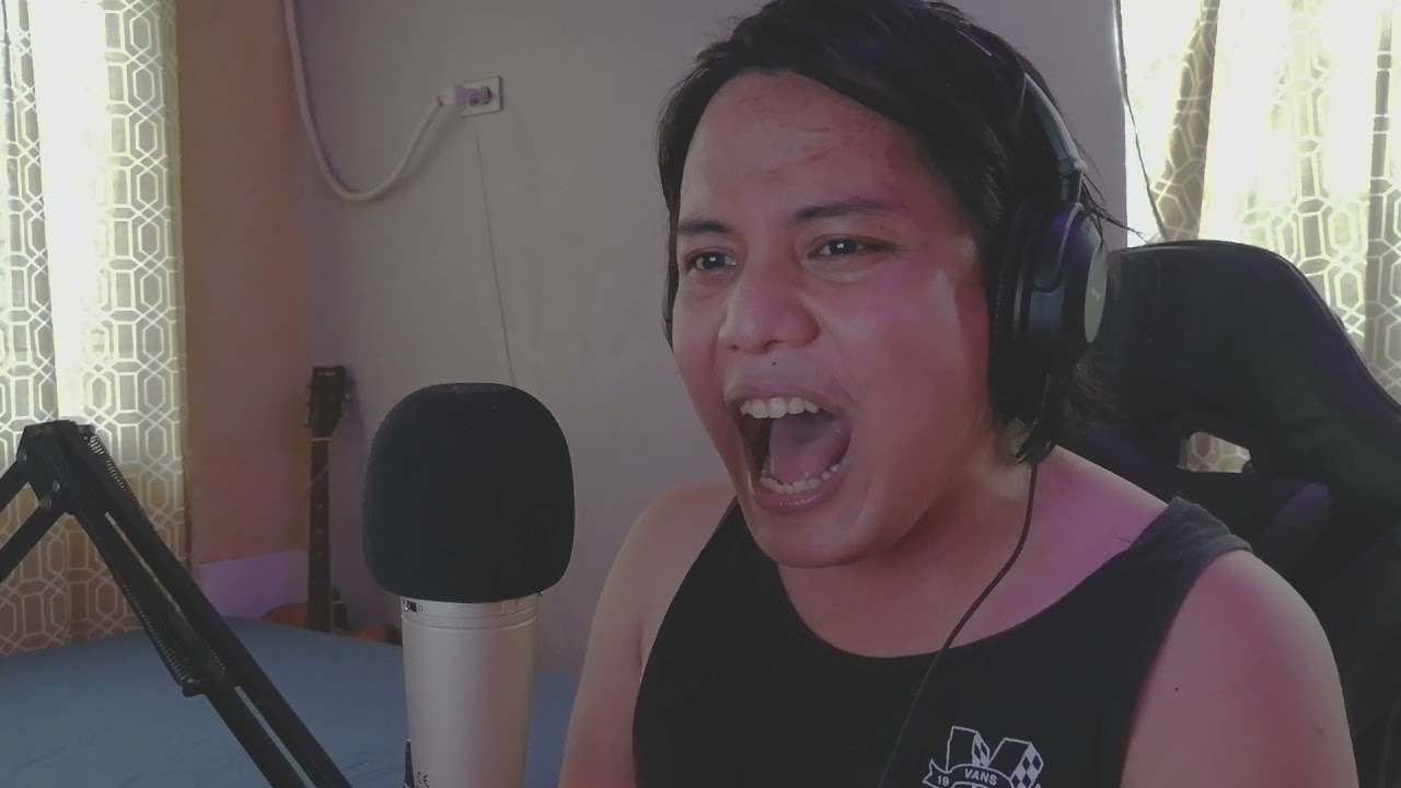 Linkin Park  -  Bleed it Out ( Cover )