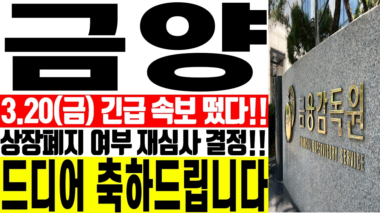 [금양 주가전망] ⚠️상장폐지 여부 재심사 결정!! 드디어 축하드립니다 | 강산 #금양 #금양주가 #금양주가전망