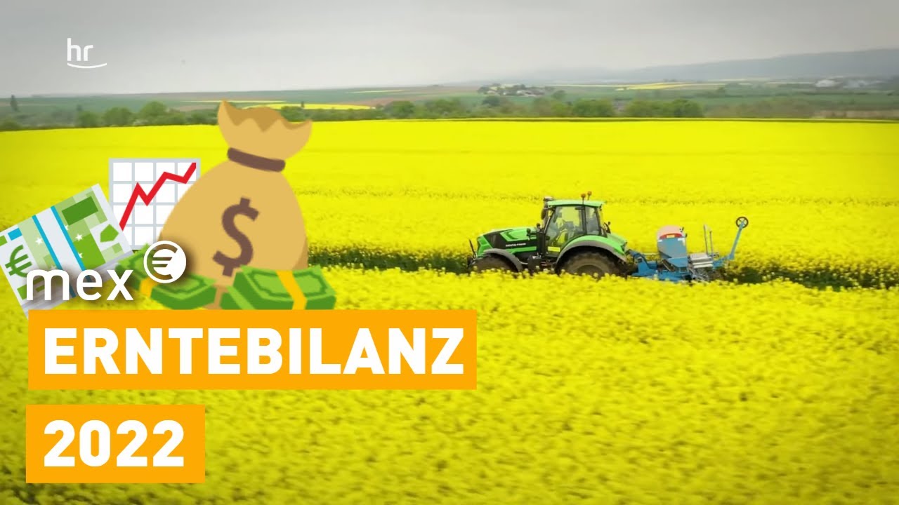Raps und Weizen - wie die Erntebilanz ausfällt  | mex